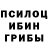 Псилоцибиновые грибы мицелий Derg Enterprises