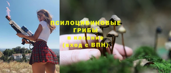кристаллы Алзамай