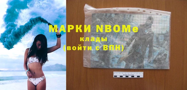 СК Пересвет